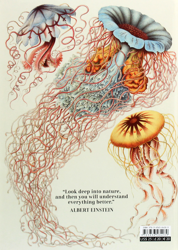 Бумажная книга «Haeckel», авторов Джулия Восс, Райнер Вильманн - фото №1