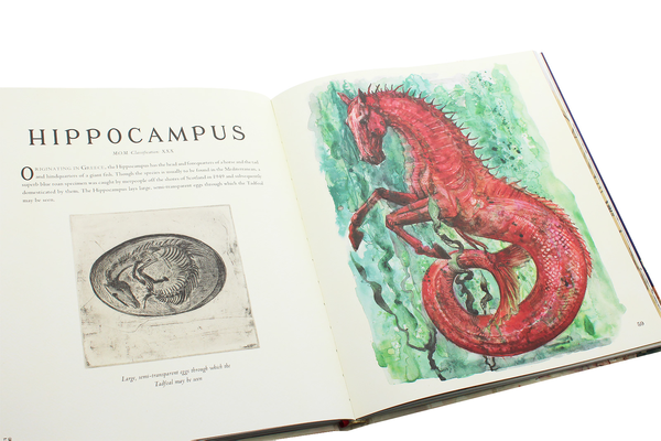 Бумажная книга «Fantastic Beasts and Where to Find Them», автор Джоан Роулинг - фото №1
