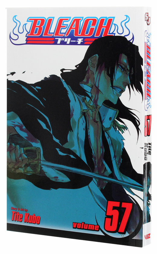 Бумажная книга «Bleach. Volume 57», автор Тайто Кубо - фото №1