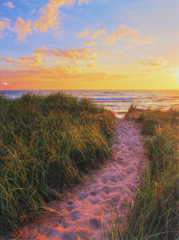 Бумажная книга «Sunset Beach» - фото №1