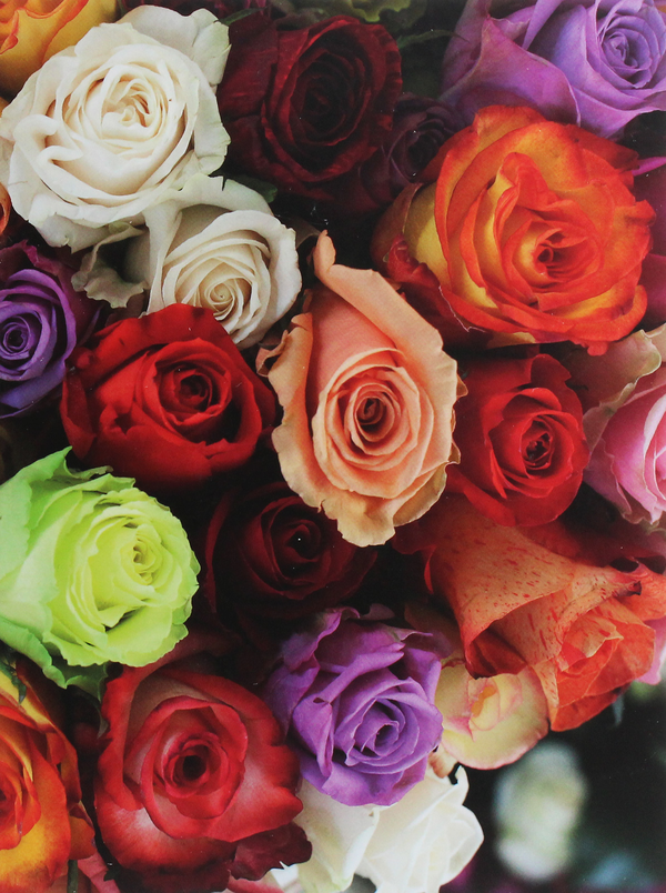 Бумажная книга «Roses» - фото №1