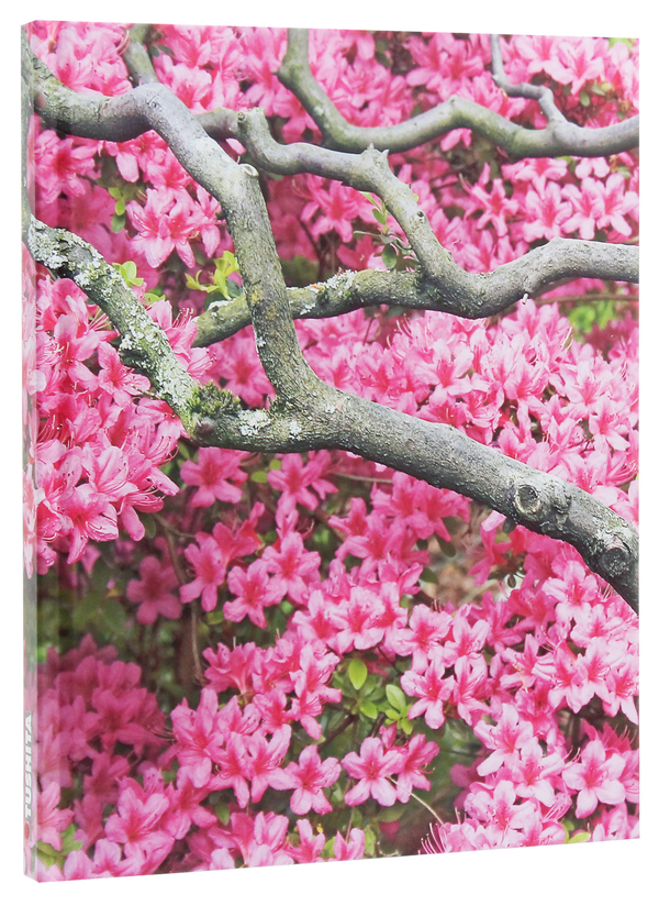 Бумажная книга «Zen Flowers» - фото №1