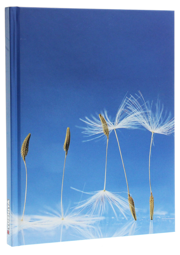 Бумажная книга «Dandelion» - фото №1