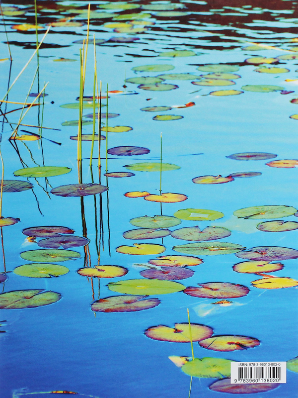 [object Object] «Lily Pads» - фото №2 - миниатюра