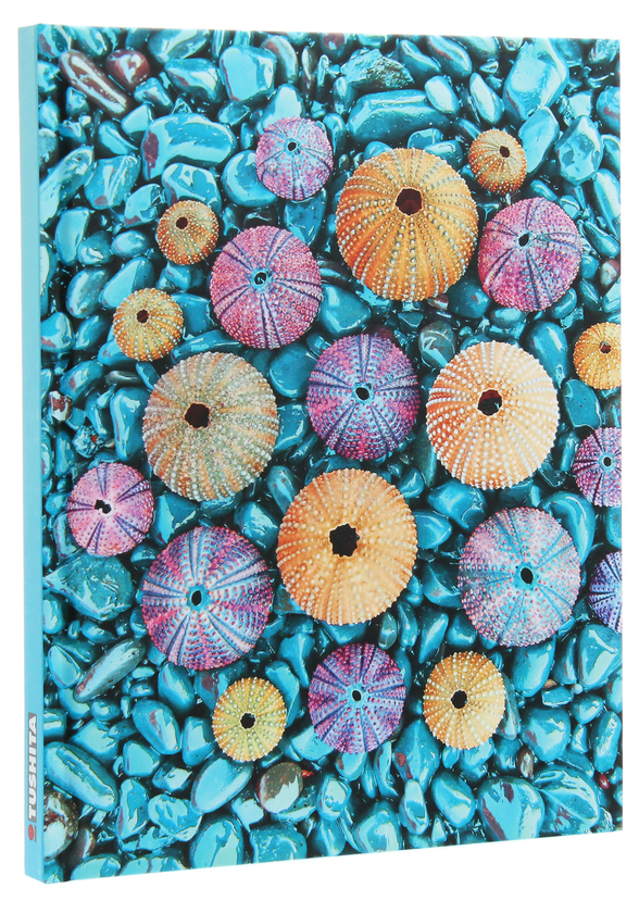 Бумажная книга «Sea Treasures» - фото №1