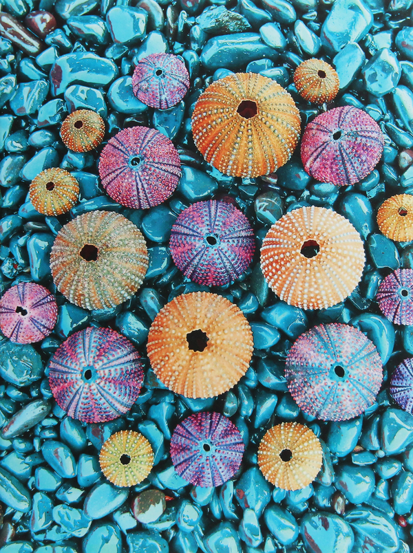 Бумажная книга «Sea Treasures» - фото №1