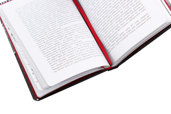 Паперова книга «Листи до сина», автор Василь Стус - фото №1