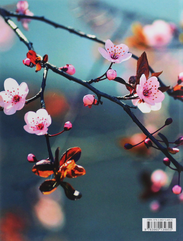 Бумажная книга «Cherry Blossoms» - фото №1