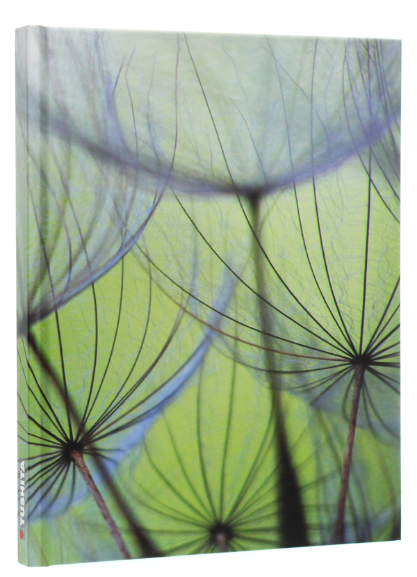 Бумажная книга «Dandelion Seeds» - фото №1
