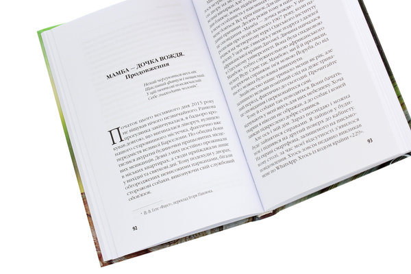 Бумажная книга «Новий Декамерон, або Розповіді біля каміна», автор Борис Финкельштейн - фото №1