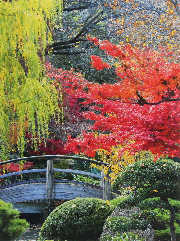 Паперова книга «Japanese Garden» - фото №1