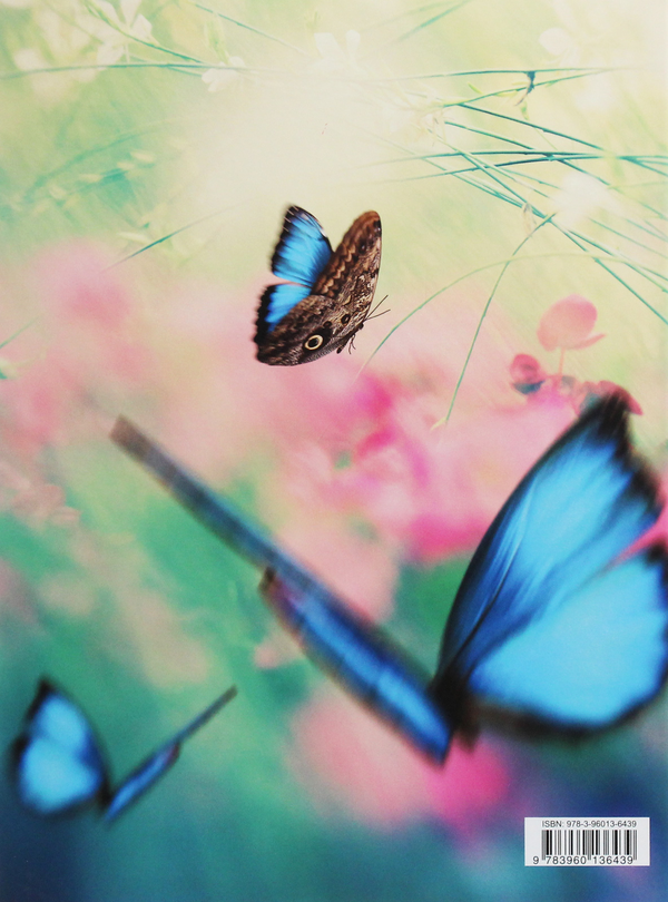 Паперова книга «Butterflies» - фото №1