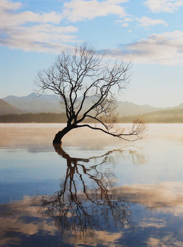 Бумажная книга «Lone Tree» - фото №1