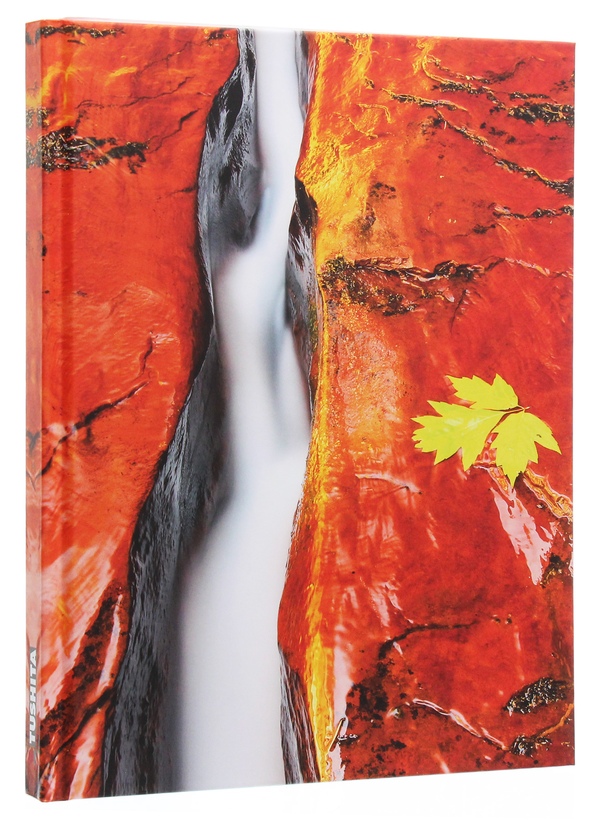 Бумажная книга «Zen Nature» - фото №1