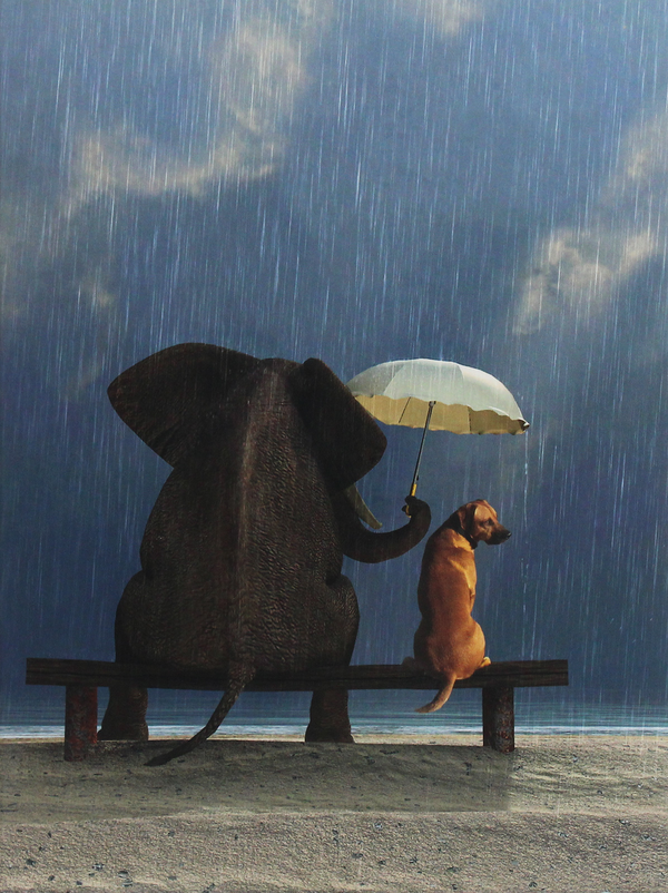 Паперова книга «Elephant and Dog» - фото №1