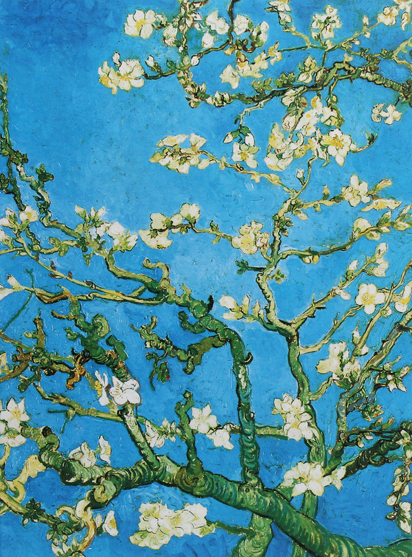 Бумажная книга «Vincent van Gogh - Blossoming almond tree» - фото №1