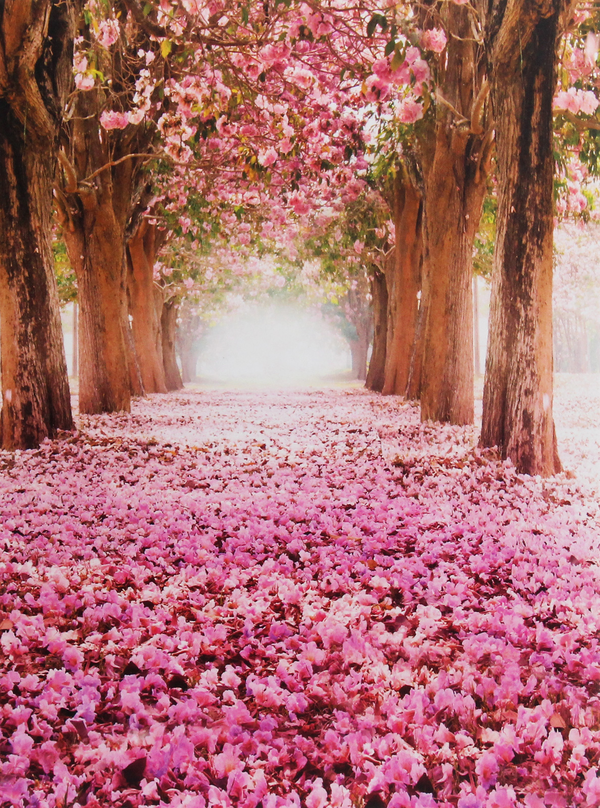 Бумажная книга «Flower Alley» - фото №1