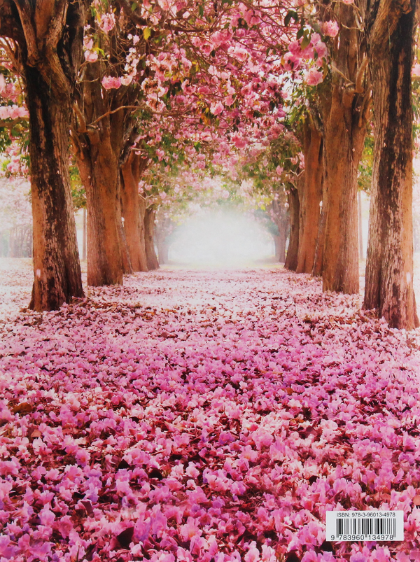 Бумажная книга «Flower Alley» - фото №1