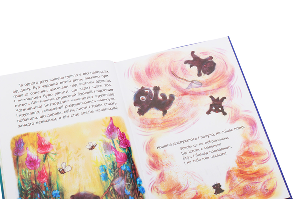 Паперова книга «Країна Замазурія», автор Оксана Дємченко - фото №1