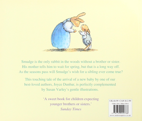 Бумажная книга «The Spring Rabbit», авторов Джойс Данбар, Сьюзен Варли - фото №1