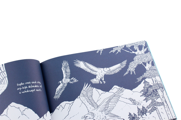 Бумажная книга «Colour Together. Nature», автор Энни Дэвидсон - фото №1