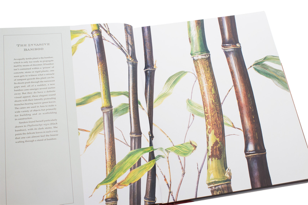 Бумажная книга «Rosie Sanders' Flowers. A celebration of botanical art», автор Рози Сандерс - фото №1