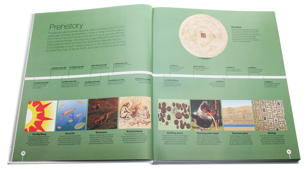 Бумажная книга «Timelines of Everything. From woolly mammoths to world wars» - фото №1