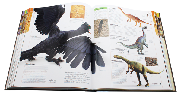 Бумажная книга «Dinosaurs and Prehistoric Life. The definitive visual guide to prehistoric animals» - фото №1