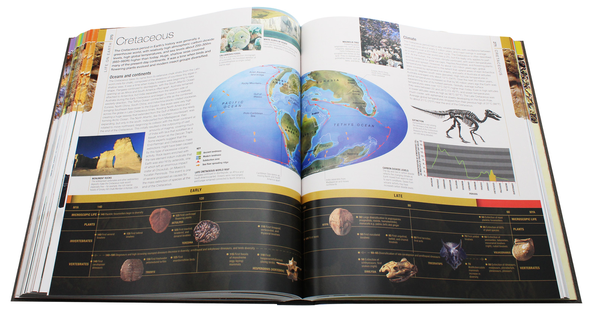 Бумажная книга «Dinosaurs and Prehistoric Life. The definitive visual guide to prehistoric animals» - фото №1