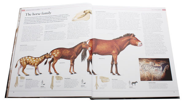 Бумажная книга «The Horse Encyclopedia», автор Элвин Хартли Эдвардс - фото №1