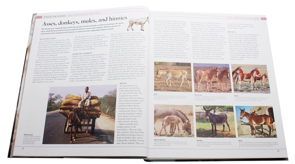 Бумажная книга «The Horse Encyclopedia», автор Элвин Хартли Эдвардс - фото №1
