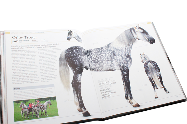Бумажная книга «The Horse Encyclopedia», автор Элвин Хартли Эдвардс - фото №1