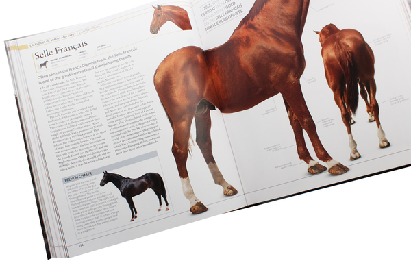 Бумажная книга «The Horse Encyclopedia», автор Элвин Хартли Эдвардс - фото №1