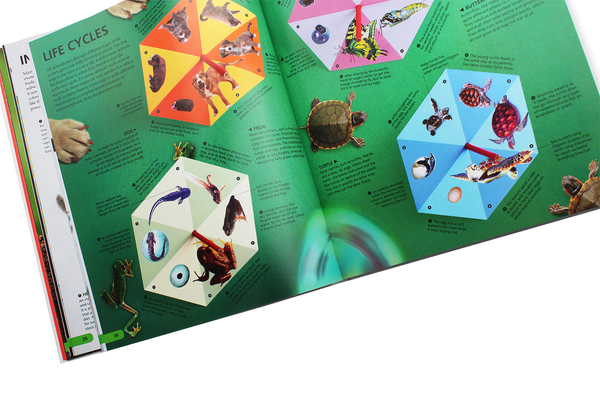 Бумажная книга «Wow! The Visual Encyclopedia of Everything» - фото №1