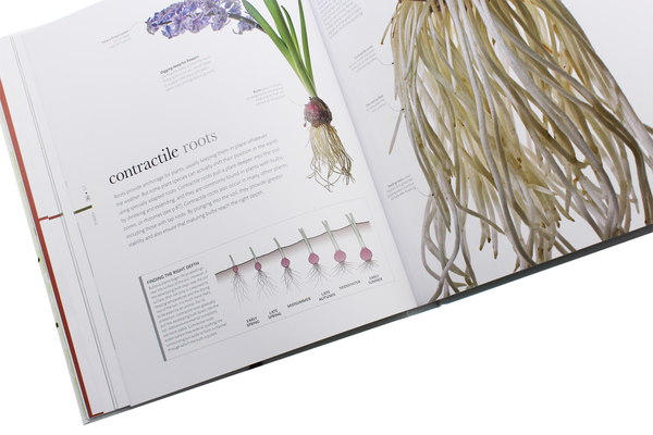 Бумажная книга «Flora. Inside the Secret World of Plants» - фото №1
