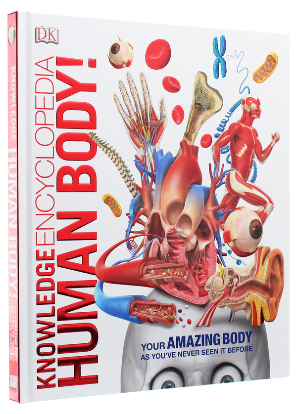 Бумажная книга «Knowledge Encyclopedia Human Body!» - фото №1