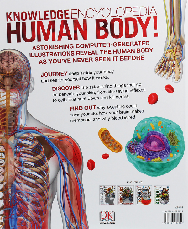 Бумажная книга «Knowledge Encyclopedia Human Body!» - фото №1