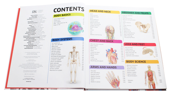 Бумажная книга «Knowledge Encyclopedia Human Body!» - фото №1