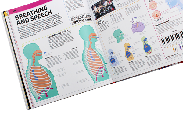 Бумажная книга «Knowledge Encyclopedia Human Body!» - фото №1