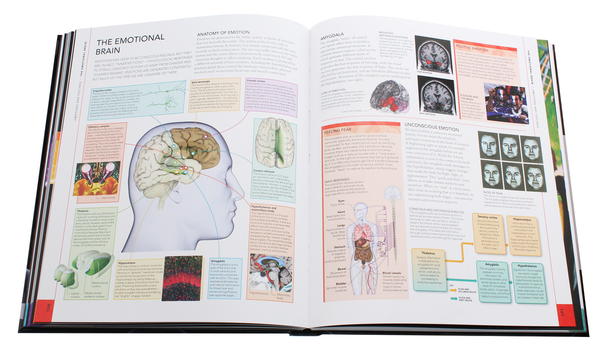 Паперова книга «The Brain Book. An Illustrated Guide to its Structure, Functions, and Disorders », авторів Стів Паркер, Ріта Картер, Сьюзан Олдрідж, Мартін Пейдж - фото №1