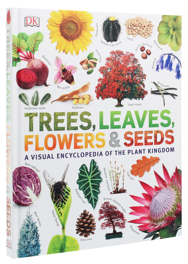 Бумажная книга «Trees, Leaves, Flowers and Seeds. A visual encyclopedia of the plant kingdom», автор Сара Хосе - фото №1