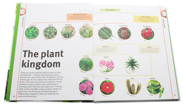 Бумажная книга «Trees, Leaves, Flowers and Seeds. A visual encyclopedia of the plant kingdom», автор Сара Хосе - фото №1