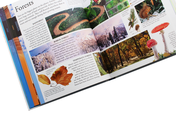 Бумажная книга «The New Children's Encyclopedia. Packed with Thousands of Facts, Stats, and Illustrations» - фото №1