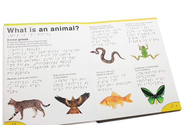 Паперова книга «Braille Animals. Knowledge You Can Touch» - фото №1