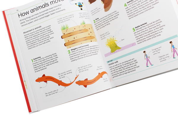 Бумажная книга «How to Be Good at Science, Technology, and Engineering» - фото №1