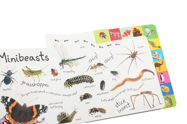 Бумажная книга «My First Animals. Let's Squeak and Squawk!», автор Доун Сиретт - фото №1