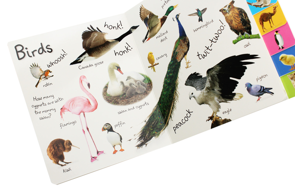 Бумажная книга «My First Animals. Let's Squeak and Squawk!», автор Доун Сиретт - фото №1