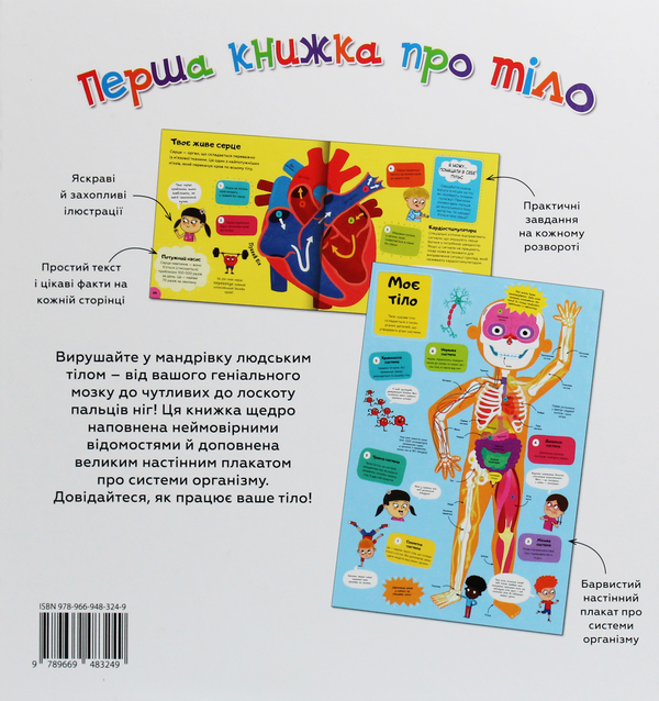 Бумажная книга «Перша книжка про тіло», автор Клайв Гиффорд - фото №1