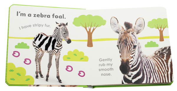 Паперова книга «Really Feely Wild Animals», авторів Доун Сіретт, Поллі Епплтон - фото №1
