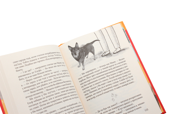 Бумажная книга «Ключик до Ельфа», автор Марцин Палаш - фото №1